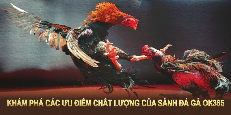 Xổ số OK365